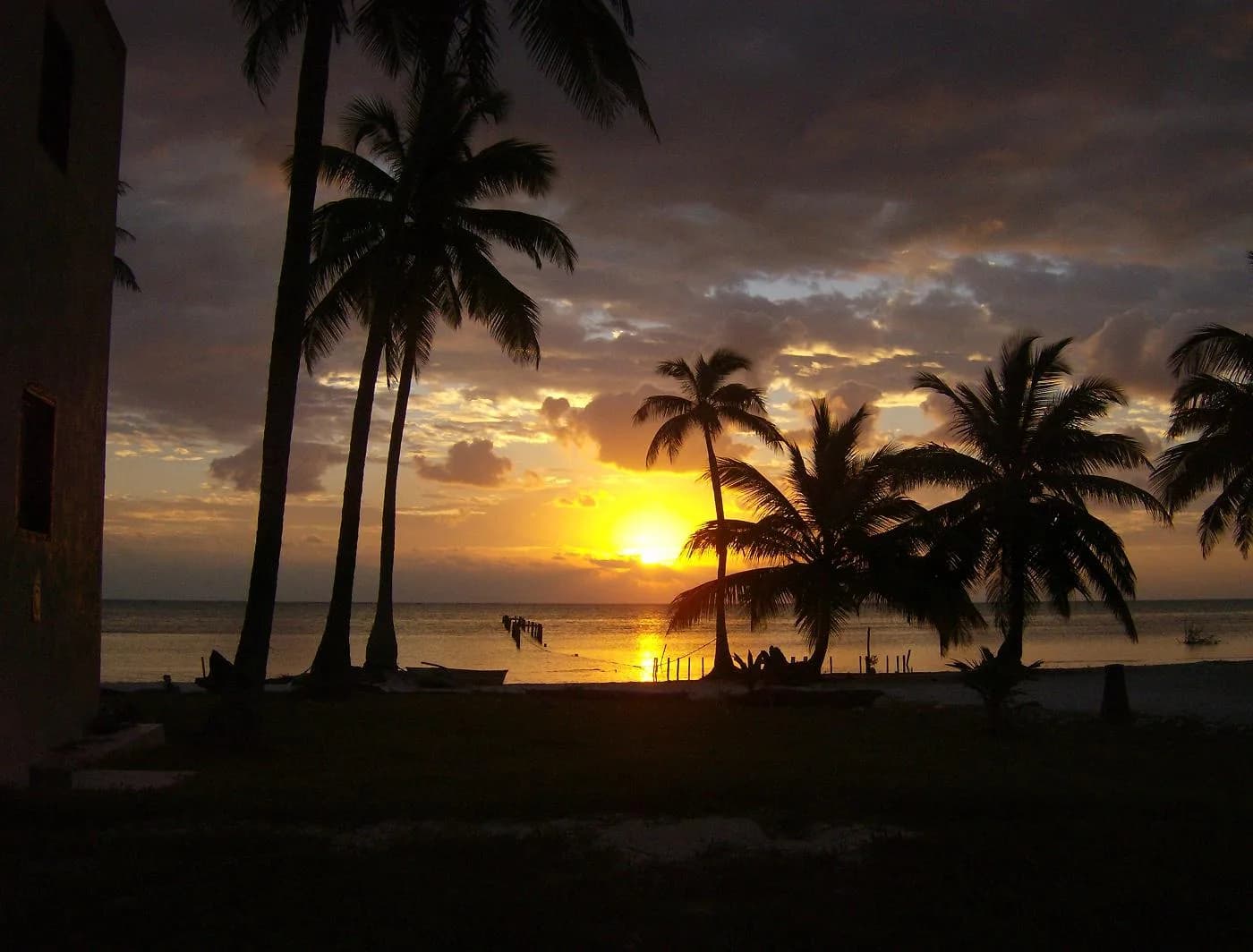 Sunrise over the Caribbean sea and palm trees on the beach at Xcalak, Quintana Roo