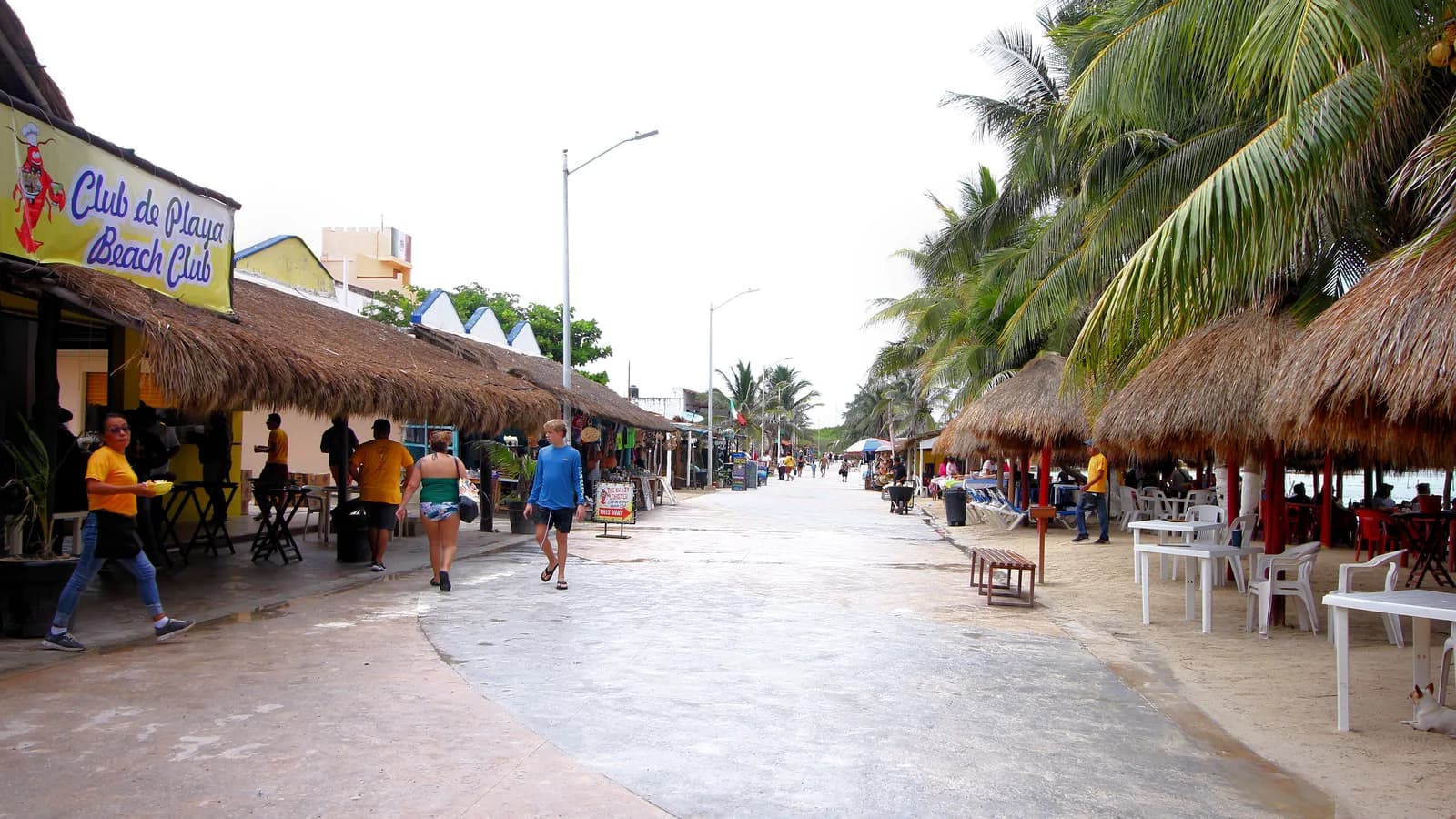 Palm-lined pedestrian walking path along the beachfront Malecón in Mahahual, Quintana Roo