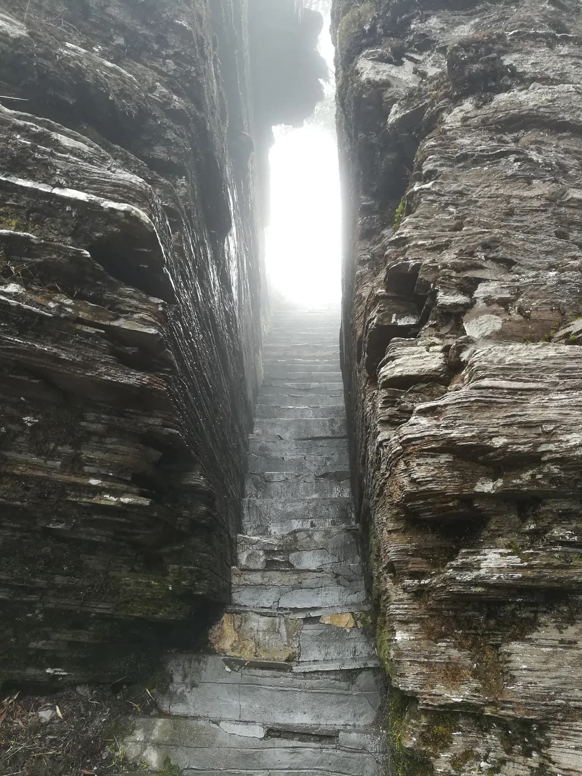 Steep stone steps climbing through green forest on Mount Fanjing