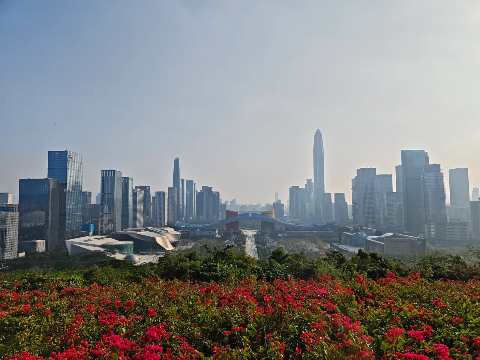 Is Shenzhen Worth Visiting? An Honest Verdict